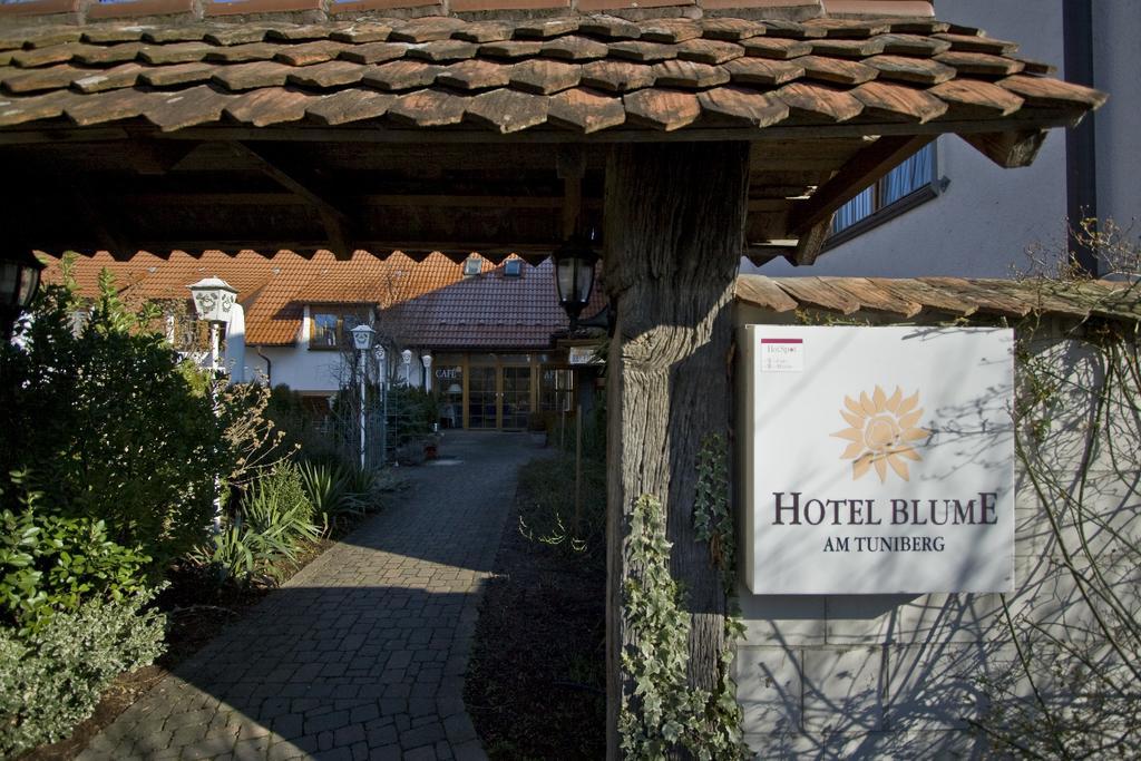 Hotel Blume Freiburg im Breisgau Exterior photo